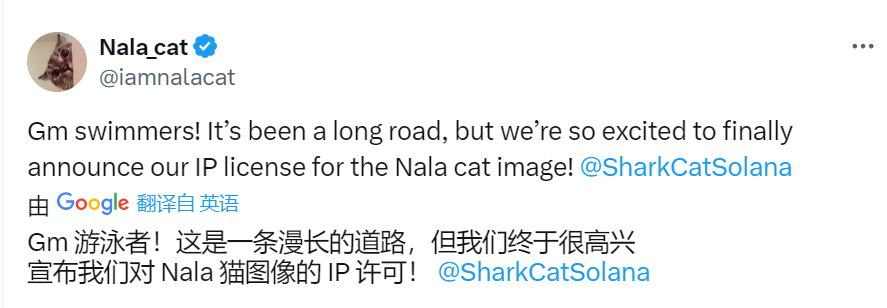 从IP争议到反抗VC，Meme社区正上演「猫王争霸」战缩略图