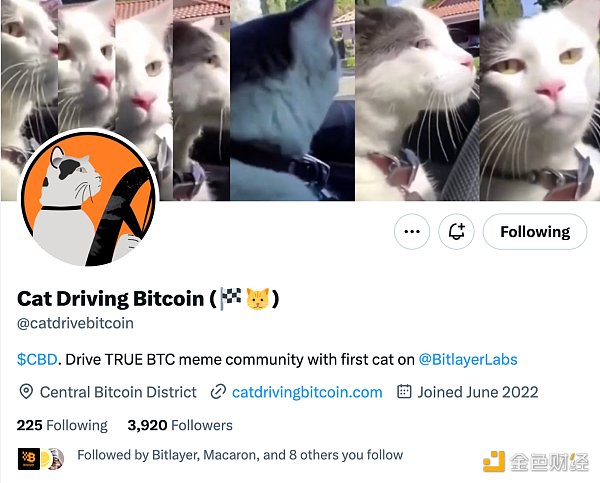 Bitlayer 生态项目盘点插图2 Bitlayer 生态项目盘点