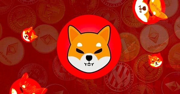 Web3浪潮中的黄金机遇：Piin铭文的价值分析