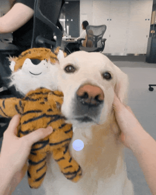 谷歌7大模型22项AI大招轰炸！70秒视频生成、Gemini安卓合体、200万tokens上下文