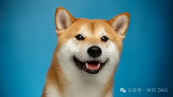 狗狗币原型柴犬去世插图1 狗狗币原型柴犬去世