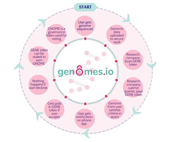 Pantera 最新投资的 DeSci 项目什么来头?插图3 Pantera 最新投资的 DeSci 项目什么来头?