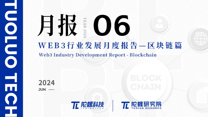 2024年6月Web3行业月度发展报告区块链篇 |陀螺研究院插图 2024年6月Web3行业月度发展报告区块链篇 |陀螺研究院
